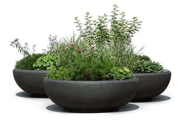 village flower tubs