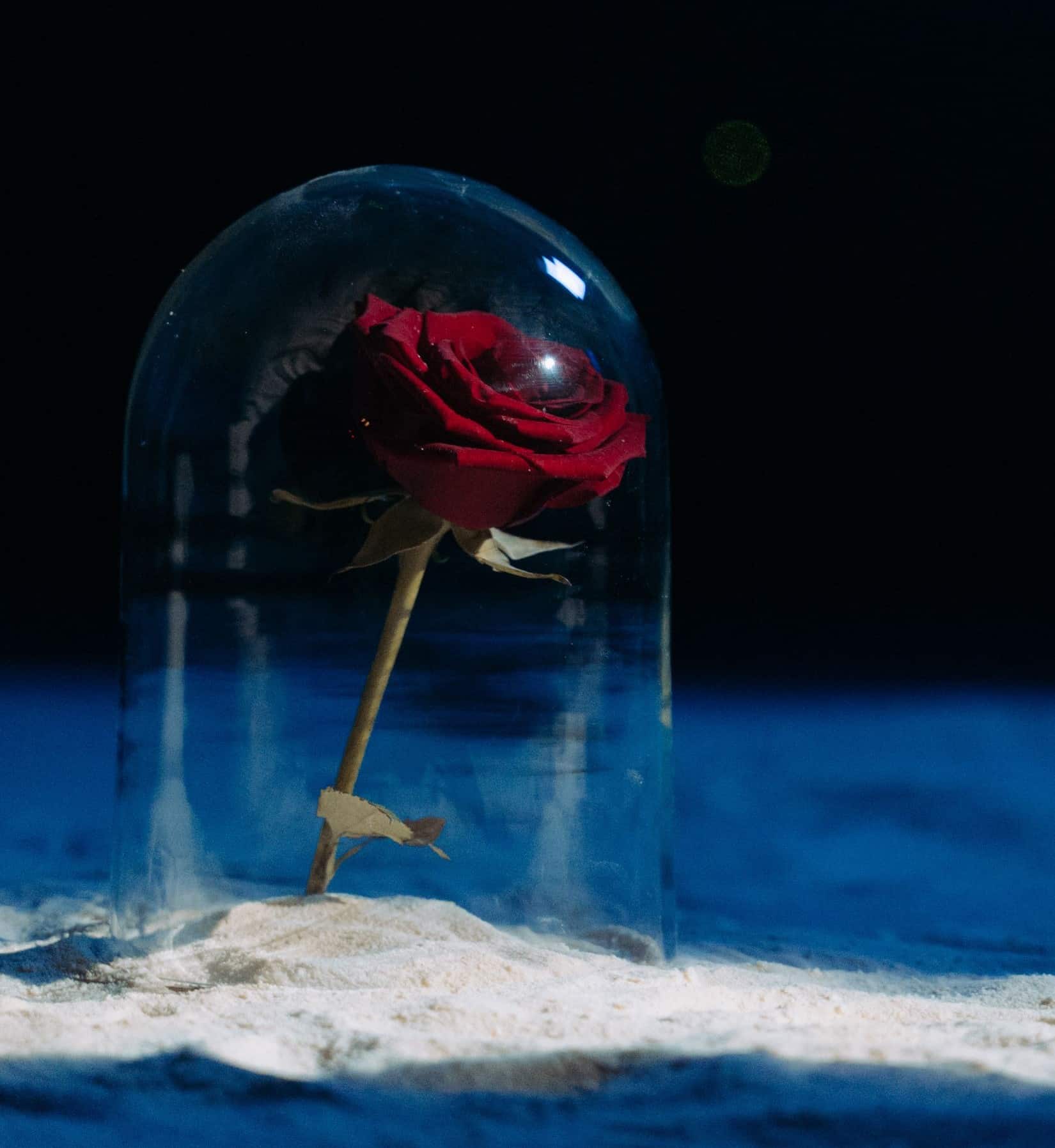 Beauty and the Beast
